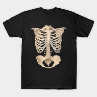 Dark academia 1980s Funny halloween  Anatomy bones skeleton T-Shirt